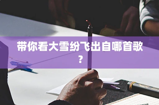带你看大雪纷飞出自哪首歌？