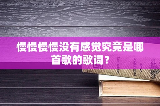慢慢慢慢没有感觉究竟是哪首歌的歌词？