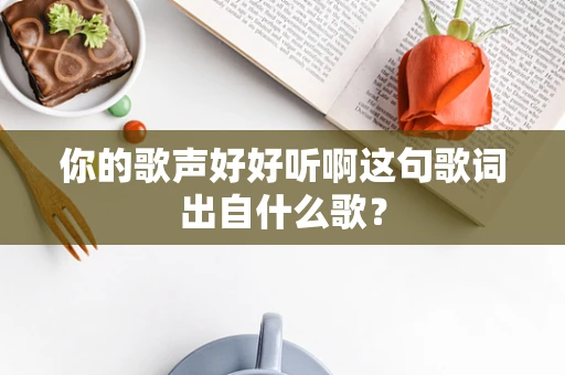你的歌声好好听啊这句歌词出自什么歌？