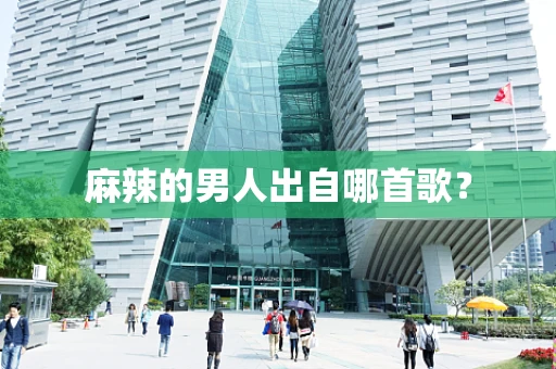 麻辣的男人出自哪首歌？