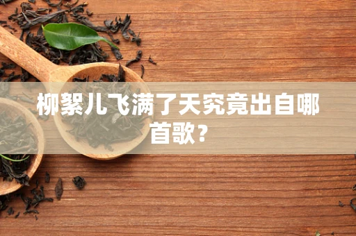 柳絮儿飞满了天究竟出自哪首歌？