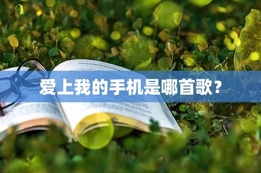爱上我的手机是哪首歌？