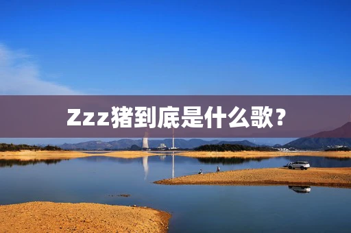 Zzz猪到底是什么歌？