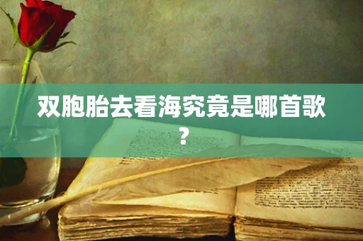 双胞胎去看海究竟是哪首歌？
