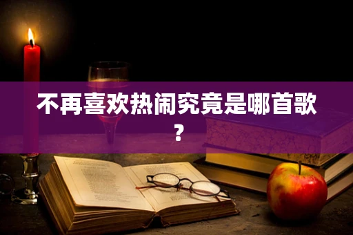 不再喜欢热闹究竟是哪首歌？