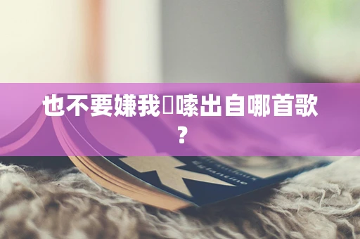 也不要嫌我啰嗦出自哪首歌？