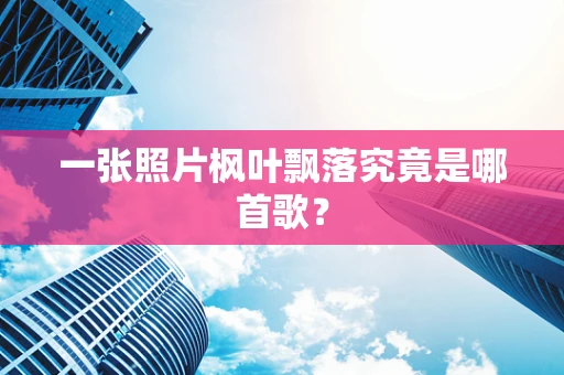 一张照片枫叶飘落究竟是哪首歌？