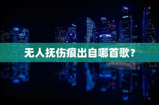 无人抚伤痕出自哪首歌？