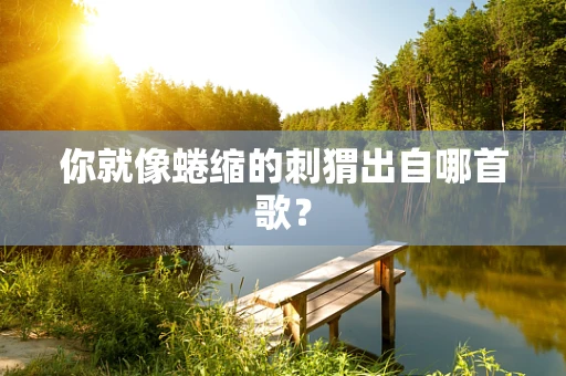 你就像蜷缩的刺猬出自哪首歌？