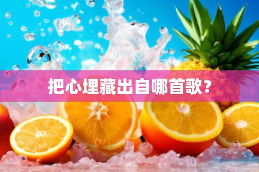 把心埋藏出自哪首歌？