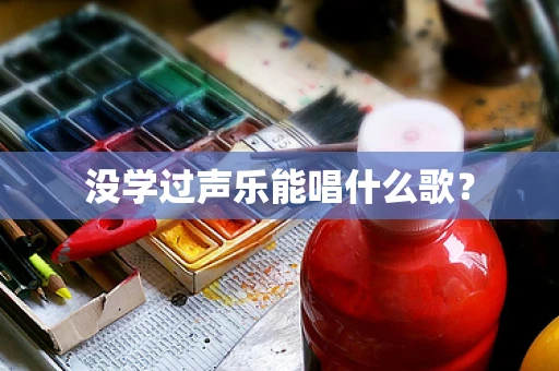 没学过声乐能唱什么歌？