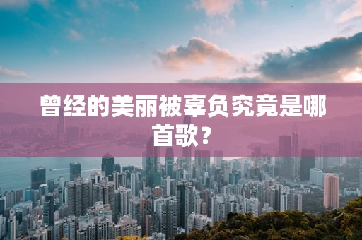 曾经的美丽被辜负究竟是哪首歌？