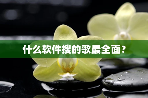 什么软件搜的歌最全面？