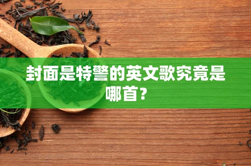 封面是特警的英文歌究竟是哪首？