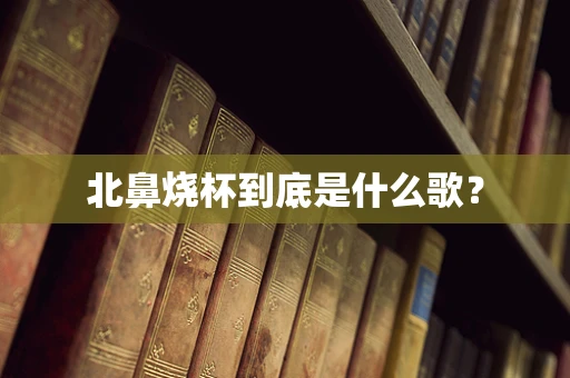 北鼻烧杯到底是什么歌？