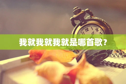 我就我就我就是哪首歌？