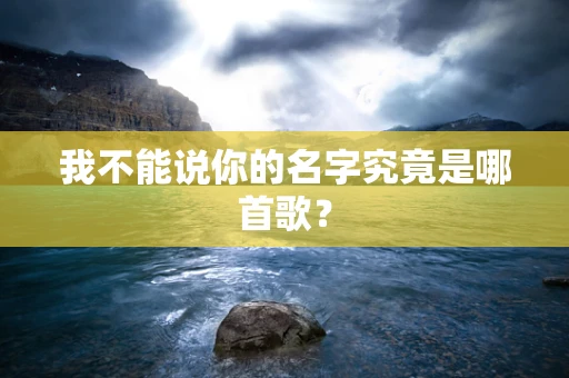我不能说你的名字究竟是哪首歌？