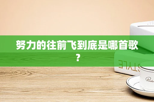 努力的往前飞到底是哪首歌？