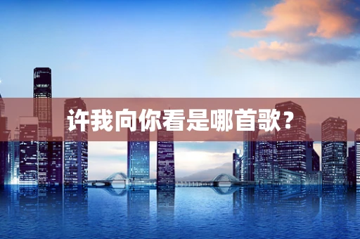 许我向你看是哪首歌？