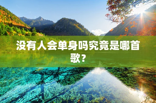 没有人会单身吗究竟是哪首歌？