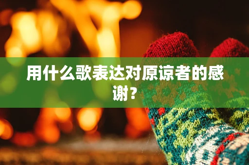 用什么歌表达对原谅者的感谢？