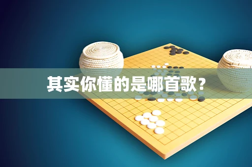 其实你懂的是哪首歌？