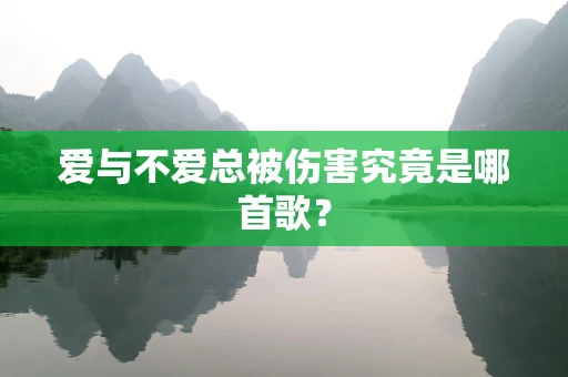 爱与不爱总被伤害究竟是哪首歌？