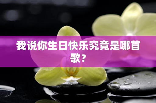 我说你生日快乐究竟是哪首歌？