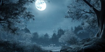 半夜想你的那首歌究竟是什么歌？