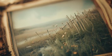 民谣歌词里有照片的是哪首歌？