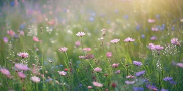 宽容的爱英文是哪首歌呢？