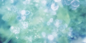 芊芊到底是什么歌？