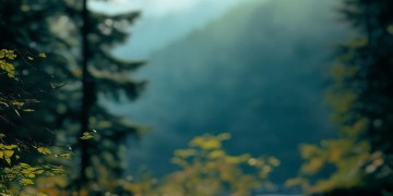住在山里适合听什么歌？