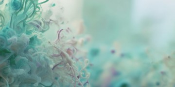 孤独有点小激动究竟是哪首歌？