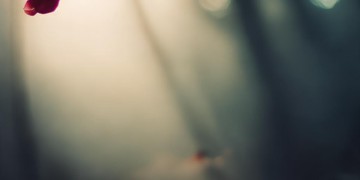 这是一刹那这句歌词出自哪首歌？