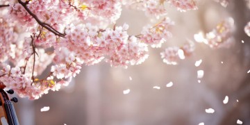 爱上别人会放手吗究竟是哪首歌？