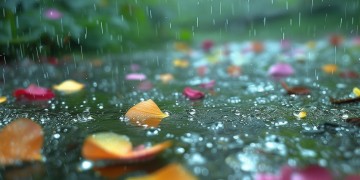 花能开在雨天究竟是哪首歌？
