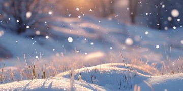 歌爱雪的歌究竟有哪些呢？