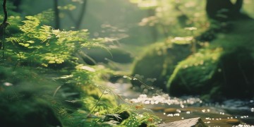 神经侠侣中的插曲究竟是什么歌？