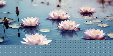 梦里莲花究竟是什么歌？