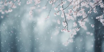 许我向你看是哪首歌？