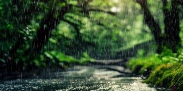 夏天最美的小雨究竟是哪首歌？