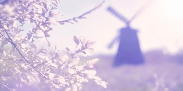 吹吹的风到底是哪首歌？