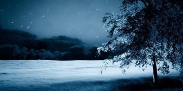 今夜莫名的失眠了究竟是哪首歌？