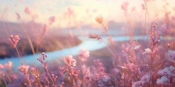 谁能把我健康万年究竟是哪首歌？