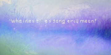 彼条歌究竟是什么意思？