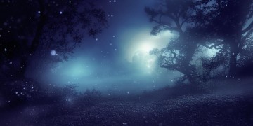 在黑夜里不肯入睡究竟是什么歌？