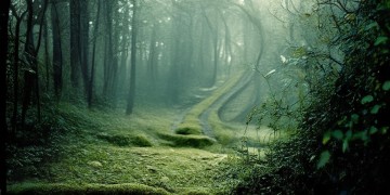 纠结在离婚的边缘是哪首歌？