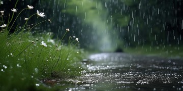 写雨的作文搭配什么歌好听呢？