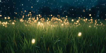 明星们甜甜的笑容究竟是哪首歌？